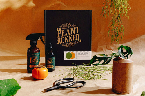Plantrunner - Plant care essential kit (gift set).
