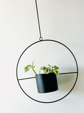 Load and play video in Gallery viewer, Hanging Halo - Metal Ring Pot with Indoor Plants
