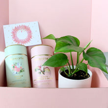 Load image into Gallery viewer, Luxury Tea and Indoor Plant Gift Box Vol.2
