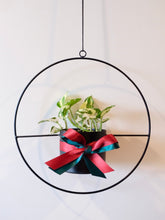 Load image into Gallery viewer, Hanging Halo - Metal Ring Pot with Indoor Plants
