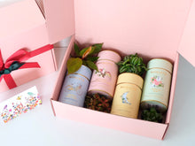 Load image into Gallery viewer, The Oasis Gift Hamper - Luxury Tea and Plants
