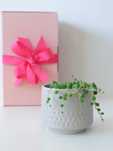 Load image into Gallery viewer, String of Pearls - Gift Box Edition
