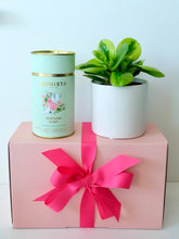 Load image into Gallery viewer, Indoor Plant with Luxury Tea - Gift Box Vol.1
