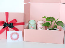 Load image into Gallery viewer, Luxury Tea and Indoor Plant Gift Box Vol.2
