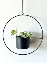Load image into Gallery viewer, Let&#39;s Hang - Metal Ring Halo Hanging Pot with Devil&#39;s Ivy Snow Queen.
