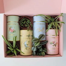 Load image into Gallery viewer, Lockdown Care Package - Luxury Tea and Plants Oasis Box.

